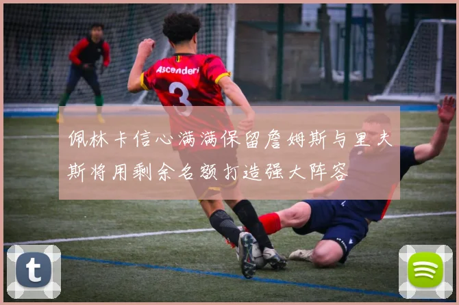 佩林卡信心满满保留詹姆斯与里夫斯将用剩余名额打造强大阵容