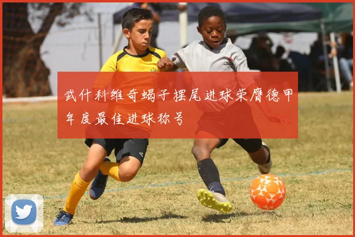 武什科维奇蝎子摆尾进球荣膺德甲年度最佳进球称号